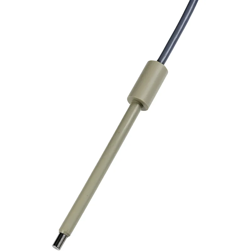 BT5 Temperaturfühler Pt100 / DIN-Stecker